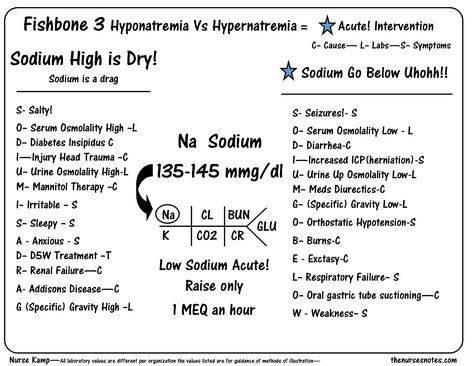 This is the second of my series explaining the Fishbone Chem 7 Diagram with the Focus on Sodium Electrolytes Hyponatremia VS Hypernatremia Hyperkalemia and Hypokalemia will be next along with BUN and Creatinine and glucose, Study sheets for nurses! Nurses Notes, Nursing Apps, Nursing Labs, Study Sheets, Nursing Information, Nursing Cheat, Brain Book, Nursing Mnemonics, Family Nurse Practitioner