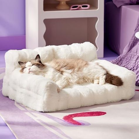 Bubble Sofa, Cat Chair, Cat Sofa, Cat Couch, Fluffy Cat, Medium Dogs, Comforters Cozy, Cat Bed, Playful Design