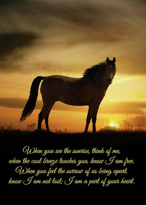 Horse Bereavement Sympathy Spiritual Poem Art Print by Stephanie Laird. All prints are professionally printed, packaged, and shipped within 3 - 4 business days. Choose from multiple sizes and hundreds of frame and mat options. Horse Poems, Horse Memory, Spiritual Poems, Cowgirl Quote, Horse Rearing, Inspirational Horse Quotes, Equestrian Quotes, Horse Memorial, Cowgirl Quotes