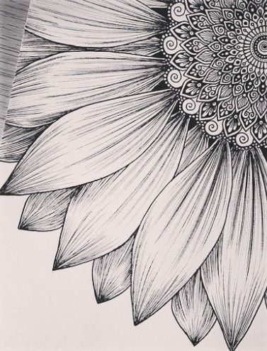 Sunflower Drawing Pencil, Mandarin Painting, Sunflower Sketches, Micron Pen Art, Sunflower Coloring Pages, Chest Tattoo Ideas, Line Tattoo Ideas, Chest Hair, Flower Pattern Drawing