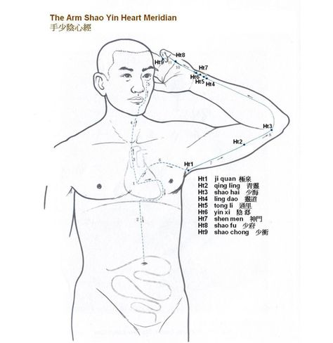 Tcm Meridians, 12 Meridians, Heart Meridian, Acupuncture Points Chart, Polarity Therapy, Acupuncture Point, Future Doctor, Acupuncture Points, Acupressure Points