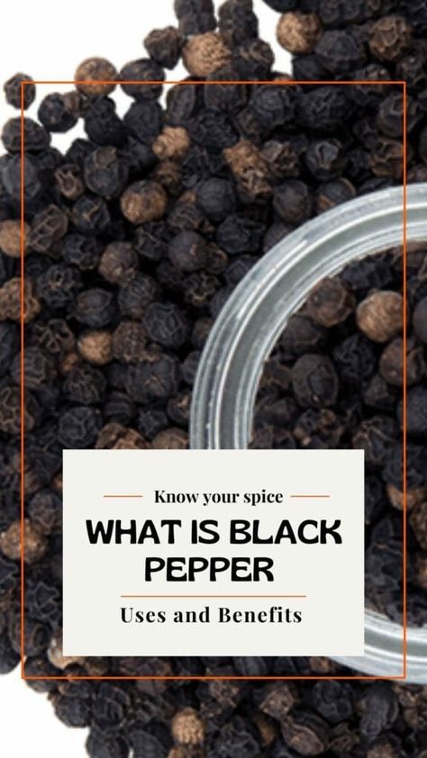 Black pepper is a universal seasoning that enhances the flavour of any dish it is used in. Make the humble peppercorn go a bit further by knowing how to use black pepper correctly in cooking ans reaping from the maby benefits of black pepper. #cookingwithspices #benefitsofspices #spicesandherbs Black Pepper Benefits, Benefits Of Black Pepper, Pepper Benefits, Essential Spices, Indian Spice Box, Types Of Peppers, List Of Spices, Black Pepper Oil, Back Bone