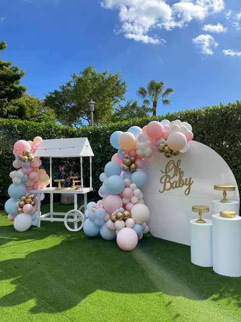 Gender Reveal Decorations Balloons, Gender Reveal For Party Decoration, Gender Revel Decoracion, Backyard Gender Reveal Ideas, Oh Baby Gender Reveal Decorations, Gender Reveal Balloon Backdrop, Uncommon Gender Reveal Ideas, Gender Reveal Outside Decorations, Gender Reveal Ideas Backdrop