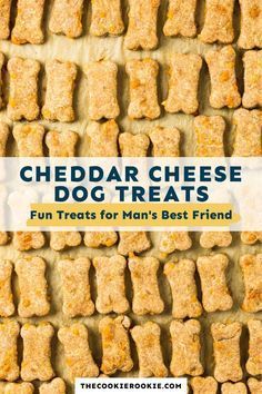 Cheesy Dog Treats, Dog Pretzel Treats, Dog Treats Homemade Yogurt, Dash Mini Dog Treat Maker Recipes, How To Make Dog Treats Easy, Doggie Treats Homemade Easy, Easy Dog Treats 2 Ingredients, Simple Dog Treats, Long Lasting Dog Treats Homemade