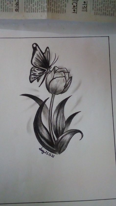 Sitting Butterfly Drawing, Butterfly On Tulip Tattoo, Tulips And Butterfly Tattoo, Realistic Tulip Drawing, Tulip With Butterfly Tattoo, Tulip Butterfly Tattoo, Tulip And Butterfly Tattoo, Nicole Tattoo, Tulips Tattoo