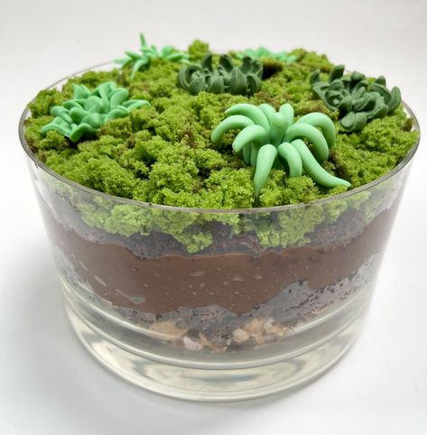 Terrarium Trifle, Terraria Cake, Make A Terrarium, Chocolate Rocks, Succulent Cake, Cupcake Day, Lemon Sponge, Crazy Cake, Jim Dine