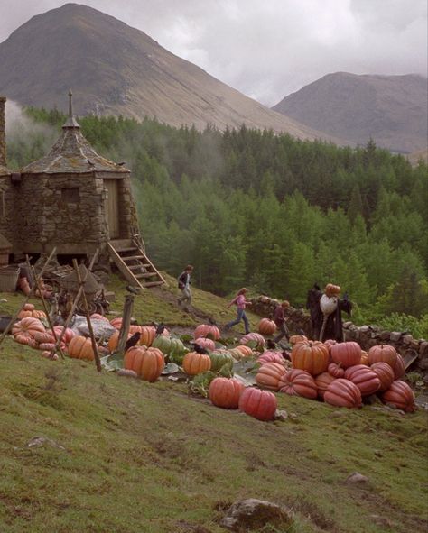 Fall Vibes Harry Potter, Harry Potter Photos Aesthetic, Harry Potter In Prisoner Of Azkaban Aesthetic, Halloween Harry Potter Aesthetic, Halloween Films Aesthetic, Autumn Aesthetic Harry Potter, Harry Potter Aesthetic Halloween, Scary Fall Aesthetic, Harry Potter Night Aesthetic