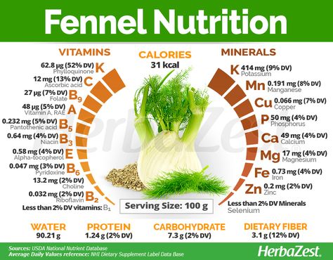 Fennel is a vegetable, a spice, and a medicinal plant all in one. Learn more about fennel health benefits, history, medicinal and culinary uses, guidelines for cultivation and more. Fennel Benefits, How To Use Fennel, Fennel Health Benefits, Fennel Essential Oil Benefits, Fennel Fruit Benefits, How To Use Fennel Seeds, Fennel Properties, Breastfeeding Nutrition, Fruit Health Benefits