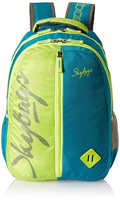 Skybags 25 Ltrs Teal School Backpack (BPLEO6TEL) School Backpack, North Face Backpack, School Backpacks, In Fashion, The North Face, Backpacks