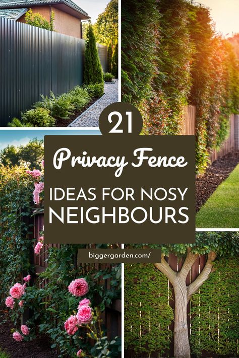 A collage of privacy fence ideas featuring natural greenery, flowers, and hedges for a cozy, secluded garden space. Decorative Privacy Fence Ideas, Diy Privacy Fence Ideas, Fence Privacy Ideas, Reed Fencing, Privacy Fence Ideas, Tomato Support, Diy Privacy Fence, Flower Fence, Nosy Neighbors