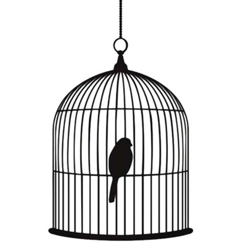 Bird Painting Diy, Bird Cage Design, Tiny Bird Tattoos, Phoenix Bird Tattoos, Bird In A Cage, Cage Tattoos, Canary Birds, Large Bird Cages, Bird Clipart