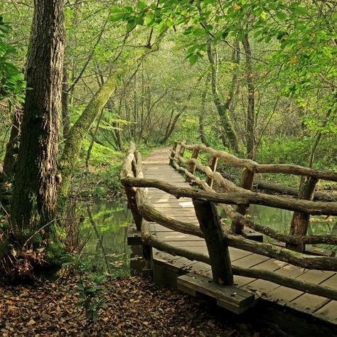 woodland pathway by Kevin Richardson - Purchase prints & digital downloads. A woodland scene with a rickety old bridge and a footpath through the trees Folio Ideas, Farm Retreat, Scene Photography, Retreat Centre, Sketch Reference, Scenery Art, Kevin Richardson, Future Vision, Nature Sketch