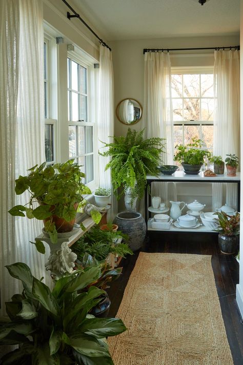 conservatory ideas Australian Tree Fern, Small Conservatory, Conservatory Ideas, Small Sunroom, Cottage Style Interiors, House Needs, Australian Trees, Window Benches, Cottage Style Decor