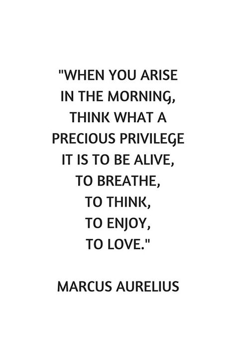 Stoic Philosophy Quote - Marcus Aurelius - What a precious privilege it is to be alive #redbubble #quotes #posters  #stoic #stoicism #philosophy #wisdom     #motivation #inspirationandideas #inspirationalquotes #inspiration Missing Family Quotes, Marcus Aurelius Quotes, Stoic Philosophy, What I Like About You, Stoicism Quotes, Servant Leadership, Gratitude Challenge, Stoic Quotes, Leader In Me