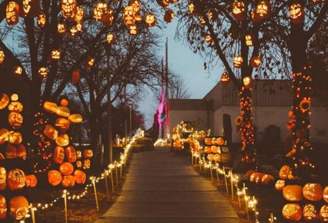 Walk Through A Village Of Over 3,000 Glowing Pumpkins At The Utah State Fair Park Aesthetic Dates, Stages Of Decay, 31 Days Of October, Halloween Land, Bloxburg Halloween, Aesthetic Walk, Halloween Home Screen, Holidays Aesthetic, Diy Halloween Dekoration