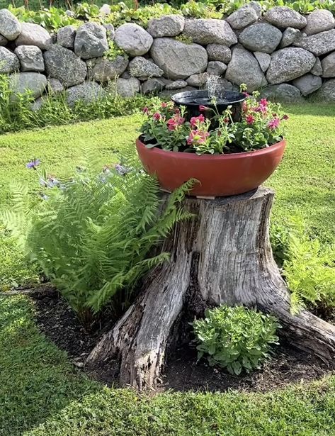 Tree Stump Landscape Ideas, Old Tree Stump Ideas Landscaping, Tree Stump Bird House, Tree Stump Bird Bath, Ideas For Tree Stumps In Yard, Tree Trunk Ideas Outdoor, Tree Stump Ideas Outdoor, Stumpery Garden Ideas, Tree Trunk Ideas