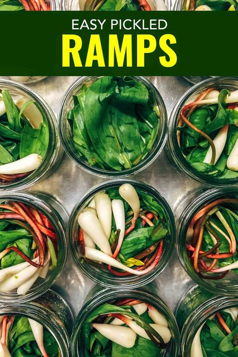 Ramp Recipes, Pickled Ramps, Wild Leeks, Wild Ramps, Ramp Pesto, Grilled Potato Salad, Leek Recipes, Canning Process, Foraging Recipes