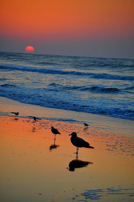 Sunset Nature, Beach Scenes, Beach Art, Ocean Beach, Beautiful Sunset, Nature Photos, Sunrise Sunset, Beautiful Beaches, Beautiful World