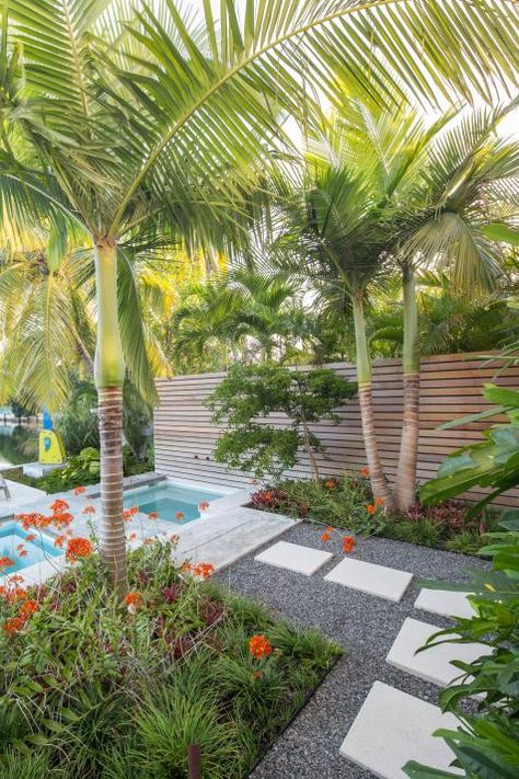 Landscaping Around Pool, Tropical Pool Landscaping, Tropical Backyard Landscaping, Florida Pool, Florida Landscaping, Swimming Pool Landscaping, Tropical Backyard, Pool Landscape Design, Landscaping Inspiration