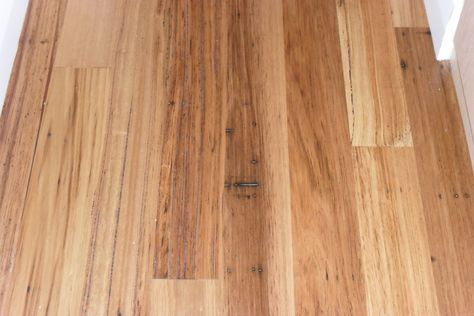 Wormy Chestnut Flooring, Wormy Chestnut, Chestnut, Lumber, Wood Species, Hardwood Floors, Flooring, Wood