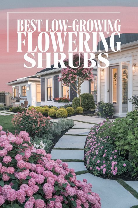 🌸 Follow the link for the best bushes to plant in front of house full sun or shade! 🌸 Whether you need low-maintenance evergreen shrubs like Boxwood and Blue Star Juniper, or low-growing flowering shrubs like Potentilla and Dwarf Azalea, these shrubs for landscaping thrive in full sun evergreen shrubs or small shrubs for shaded areas, ensuring a beautiful front yard all year! Plant In Front Of House, Shrubs For Shaded Areas, Blue Star Juniper, Walkway Designs, Shrubs For Landscaping, Low Growing Shrubs, Coral Bells Heuchera, Pink Spring Flowers, Lawn Alternatives