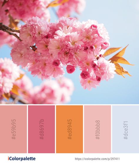 Color Palette ideas from 1804 Blossom Images | iColorpalette Colour Palette Ideas, Colour Grading, Color Palette Ideas, Flower Image, Blossom Branch, Hex Color Palette, Spring Color Palette, Color Schemes Colour Palettes, Palette Ideas