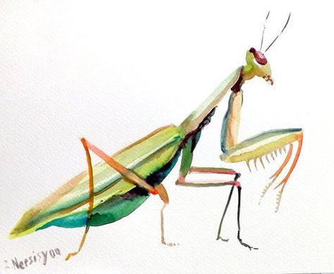 Praying Mantis original watercolor painting green by ORIGINALONLY, $24.00: Paintings Birds, Art Watercolor Insect Art Projects, Bomb Tattoo, Suren Nersisyan, Watercolor Birds, Painting Green, Bug Art, Dragonfly Art, Praying Mantis, Beautiful Bugs