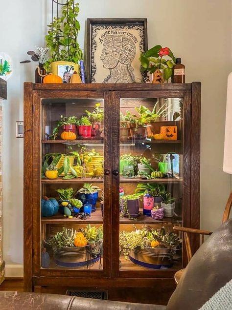 China Cabinet Greenhouse Diy, Plant Cupboard, Shelves With Grow Lights, Plant Cabinet Display, Indoor Greenhouse Ideas, Botanical Lounge, Decor Ideas Birthday, Plant Cabinet, Plant Decoration Ideas