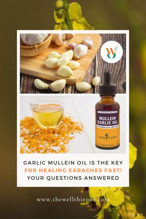 Garlic Mullein Oil Is the Key for Healing Earaches Fast! Your Questions Answered Garlic Oil For Ears, Mullein Oil, Oils For Ear Ache, Ear Oil, Ear Ache, Ear Infections, Garlic Oil, Homeopathic Remedies, Natural Remedy