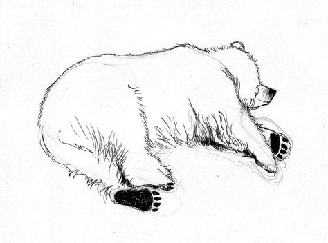 Sleeping bear sketch from life by TrixtonValley, via Flickr Bear Laying Down Drawing, Sleepy Bear Drawing, Sleeping Bear Tattoo, Sleeping Bear Drawing, Sleeping Bear Illustration, Bear Illustration Art, Sleeping Bear, Forest Sketch, Sleeping Drawing