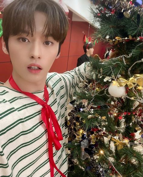 Min Ho for Stray Kids “Merry Christmas with SKZ-Manito” Lee Minho Stray Kids, Lee Know Stray Kids, Christmas Icons, Boy Band, Holidays With Kids, Lee Min, Lee Min Ho, Christmas Photos, Lee Know