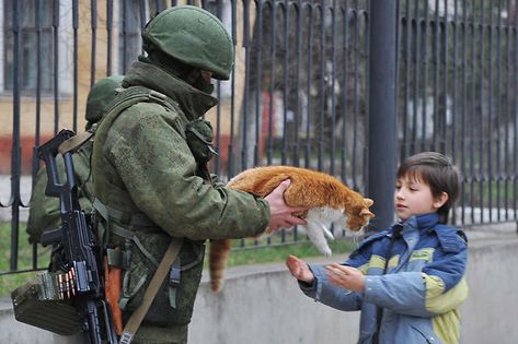 Russian Spetsnaz, Russian Memes, Free Cats, Popular Memes, Funny Cute, Dankest Memes, A Cat, Funny Images, Soldier