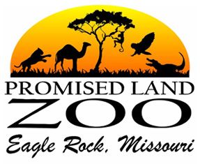 Bring the kids to Promised Land Zoo - Branson's Top Animal Attraction and also visit our Drive Thru Zoo Park in Eagle Rock Missouri. The best Missouri Zoos. Branson Missouri Vacation, Missouri Vacation, Branson Vacation, Silver Dollar City, Kids Things To Do, Free Activities For Kids, Branson Missouri, Branson Mo, Family Trips