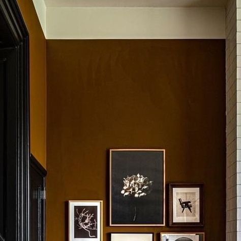 Chocolate Paint Walls, Clay Living Room Paint Colors, Copper Kettle Benjamin Moore, Cafe Paint Colors, Saddle Brown Paint Color, Multiple Paint Colors In One Room, Dark Painted Walls Living Room, Library Accent Wall, Gothic Wall Colors