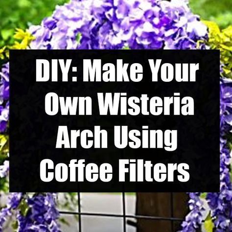 Coffee Filter Wisteria Diy, Wisteria Diy How To Make, Wisteria Wreath Diy, Diy Wisteria Flowers, Diy Wisteria Tree, Paper Wisteria Diy, Diy Wisteria, Wisteria Arch, Wedding Wisteria