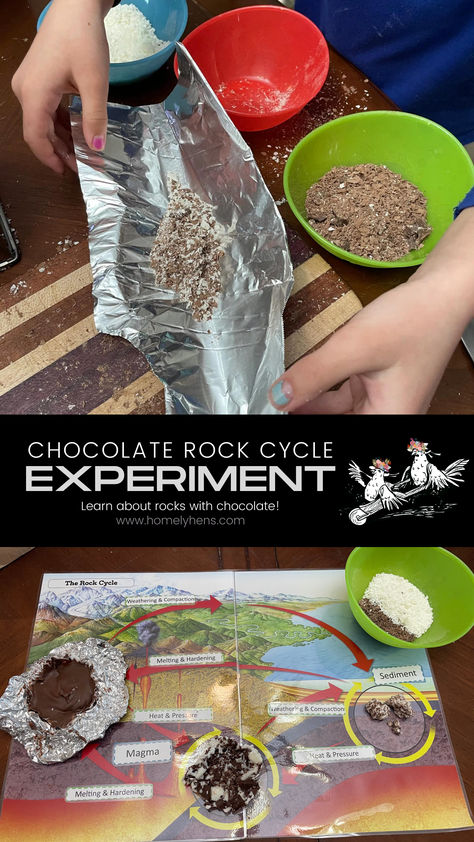 2nd Grade Rock Activities, Extrusive Igneous Rock, Montessori Rock Activities, Sedimentary Rocks Activities, Geology Stem Activities, Geology Science Fair Projects, Geology Homeschool Unit, Rocks And Minerals Grade 4, Edible Rock Cycle