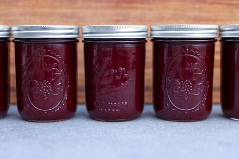 Jellied Cranberry Sauce (Canning Recipe) - The Seasonal Homestead Canning Cranberry Sauce, Canning Cranberry, Canning Tools, Canned Cranberries, Jellied Cranberry Sauce, Canning Recipe, Canned Food Storage, Water Bath Canning, Homemade Pumpkin Puree