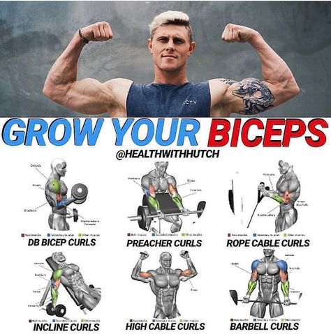 Grow Biceps, Arm Day Workout, Isometric Exercises, Killer Workouts, Gym Tips, Plank Workout, Workout Chart, Biceps Workout, Body Motivation