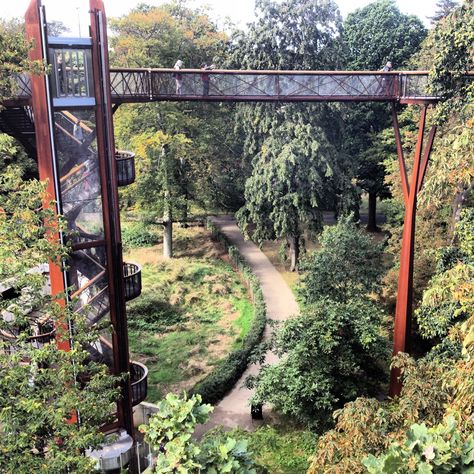 Treetop Walkway, Elevated Walkway, Kew Gardens London, Urban Forest, Apartment Architecture, Sea Design, Pedestrian Bridge, Adaptive Reuse, Kew Gardens