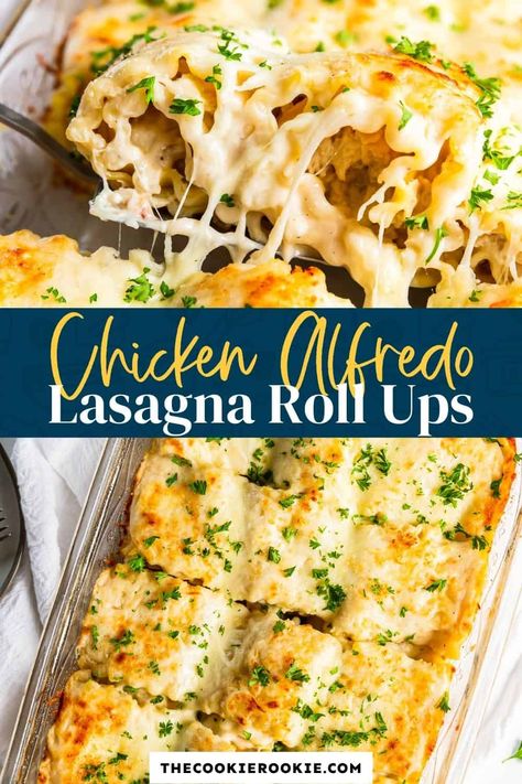 Chicken Alfredo lasagna roll ups are fun to make and even more fun to eat! They're the perfect easy weeknight dinner! Marry Me Chicken Pasta Rolls, Chicken Lasagna Roll Ups Easy, Chicken Bacon Ranch Lasagna, Chicken Alfredo Lasagna Rolls, Chicken Alfredo Lasagna Roll Ups, Vegetarian Lasagna Roll Ups, Alfredo Lasagna Rolls, Alfredo Lasagna Roll Ups, Chicken Alfredo Lasagna Recipe