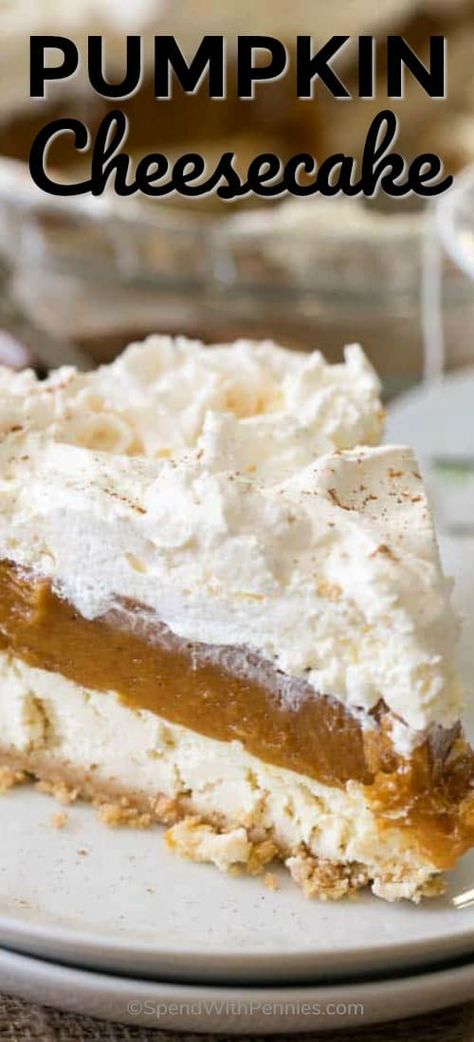 No Bake Pumpkin Cheesecake is a dreamy dessert with layers of cheesecake, pumpkin and whipped topping all nestled in a graham crust. It is so creamy and delicious, it will become your new fall dessert go to! #spendwithpennies #pumpkincheesecake #nobake #easyrecipe #pumpkinrecipe #cheesecakerecipe #easydessert Cheesecake Pumpkin, No Bake Pumpkin, Bake Pumpkin, No Bake Pumpkin Cheesecake, Pumpkin Cheesecake Recipes, No Bake Pumpkin Pie, Fall Dessert, Köstliche Desserts, Pumpkin Dessert