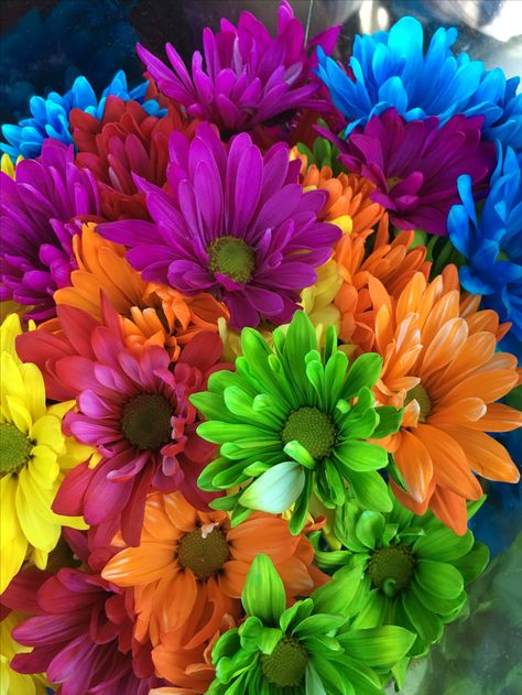 Colorful Daisies Gerbera Bouquet, Colorful Daisies, Colorful Flowers Arrangements, Daisy Wedding Flowers, Bouquet Images, Daisy Bouquet, Wedding Flowers Summer, Morning View, Gerbera Daisy