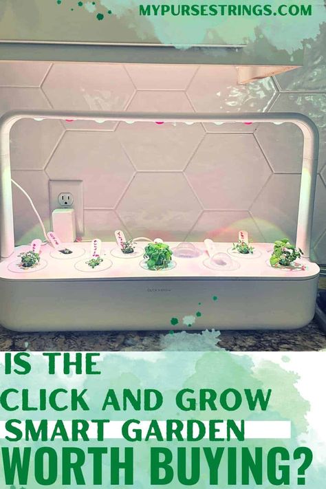 Click And Grow Smart Garden, Smart Garden Technology, Click And Grow, Smart Gardening, Indoor Hydroponic Gardening, Chives Plant, Indoor Vegetables, Vertical Garden Indoor, Homegrown Food