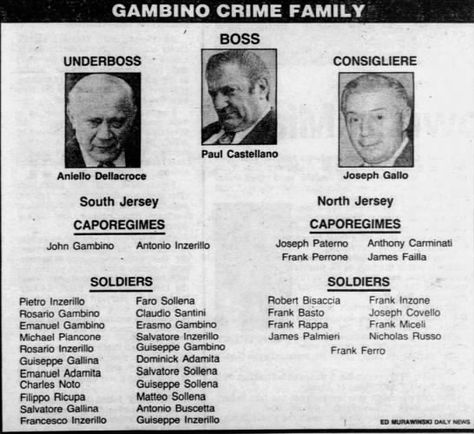 Gambino Crime Family Chart (1983) Family Chart, Whitehouse Washington, Gambino Family, Corleone Family, Real Gangster, Italian Mafia, Mafia Gangster, Mafia Families, Beat Generation