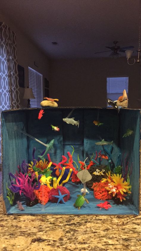 6th Grade Aquatic Salt Water Biome Project Aquatic Biome Project, Biome Project, Biomes Project, Fish Model, Salt Water Fish, Ocean Crafts, Science Project, Biome, School Project