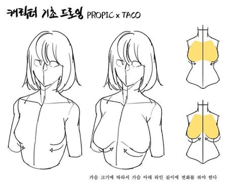 Depending on the size of the chest, the length of the line under the chest should be changed. Point Character Drawing, Anatomy Tutorial, Body Drawing Tutorial, Human Anatomy Drawing, Body Sketches, Drawing Examples, Anatomy Sketches, Body Reference Drawing, Anatomy Drawing