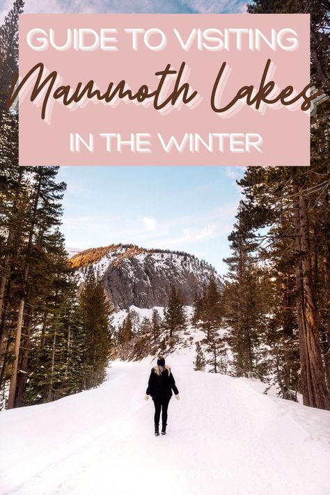 Mammoth Lakes is one of the most popular ski destinations in California... but did you know there is so much more do than ski?! Of course you should definitely hit the slopes at Mammoth Mountain but don't miss exploring more of the gorgeous Eastern Sierra region. From where to stay and dine to all of the best things to do, here is the ultimate guide to visiting Mammoth Lakes in the winter! Mammoth Mountain Skiing, Mammoth Lakes California Winter, Mammoth Ski Resort, Mammoth California, Roadtrip Ideas, Ski Destinations, Mammoth Lakes California, June Lake, California Winter