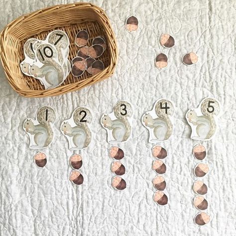 Squirrel Letter Activity, Woodland Animals Math Preschool, Chipmunk Preschool Activities, Squirrel Math Activities Preschool, Forest Animals Preschool Activities Fine Motor, Autumn Animals Preschool Activities, Woodland Animals Prek Activities, Acorn Preschool Theme, Forest Theme Activities For Preschool