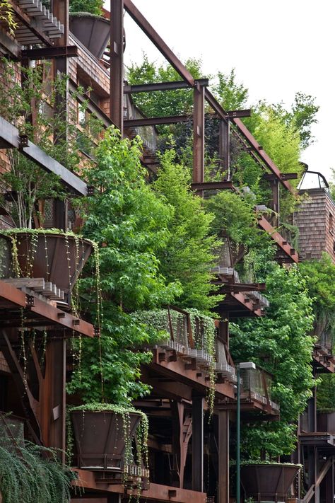 Luciano Pia, Beppe Garden · 25 Green Green Library, Green Facade, Tree House Designs, Green Architecture, Urban Gardening, Eco House, Garden House, Apartment Complexes, Sustainable Architecture