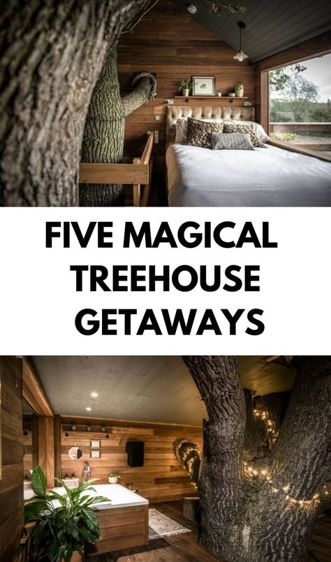 This English treehouse is built in a 500-year-old oak tre Tree Houses To Live In, Livable Tree Houses, Small Tree House Interior, Tree House Aesthetic, Treehouse Aesthetic, Treehouse Kitchen, Romantic Treehouse, Treehouse Bedroom, Magical Treehouse